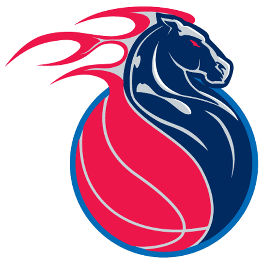 Detroit Pistons 2001-2005 Alternate Logo iron on heat transfer v2